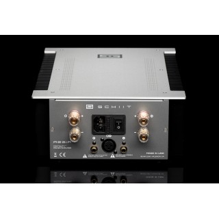 Усилитель мощности Schiit Audio Aegir