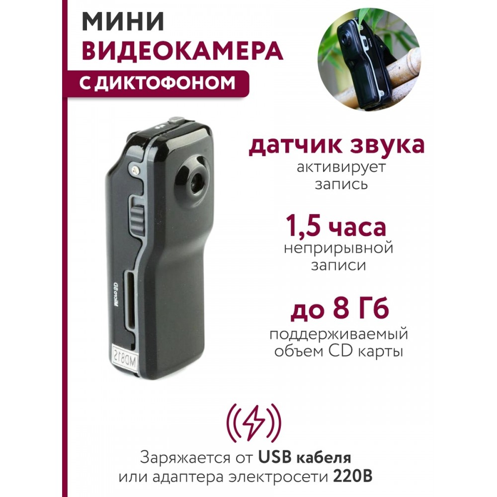 Мини-видеокамера на прищепке Mini Dv World Smallest Voice Recorder