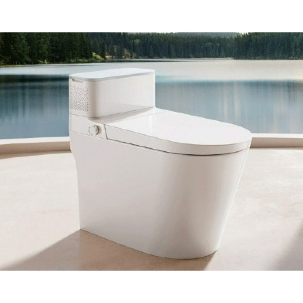 Умный унитаз Xiaomi Diiib Environment Smart Toilet Fresh Air Clean Version 305 mm (DXMT033-305)